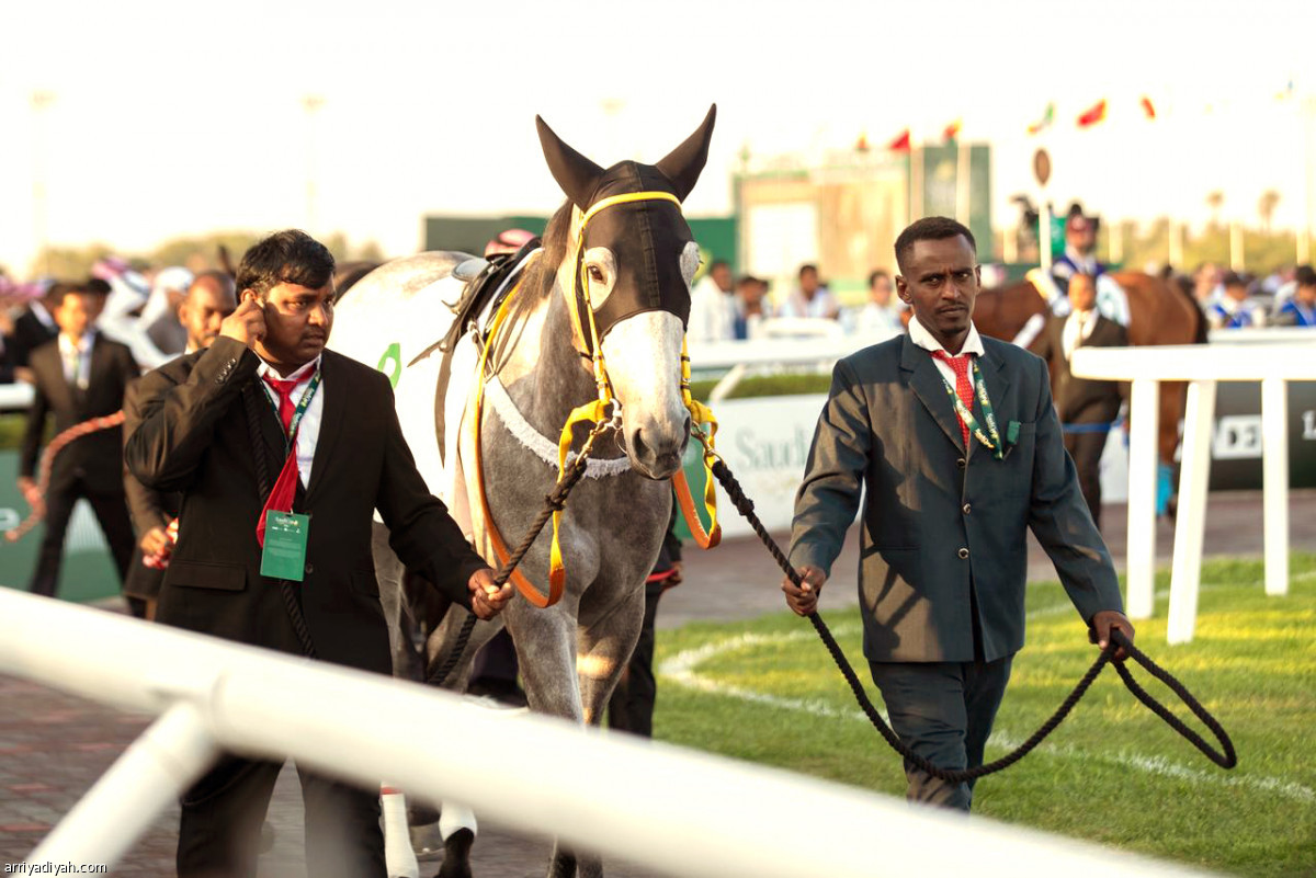 تكريم الفائزين